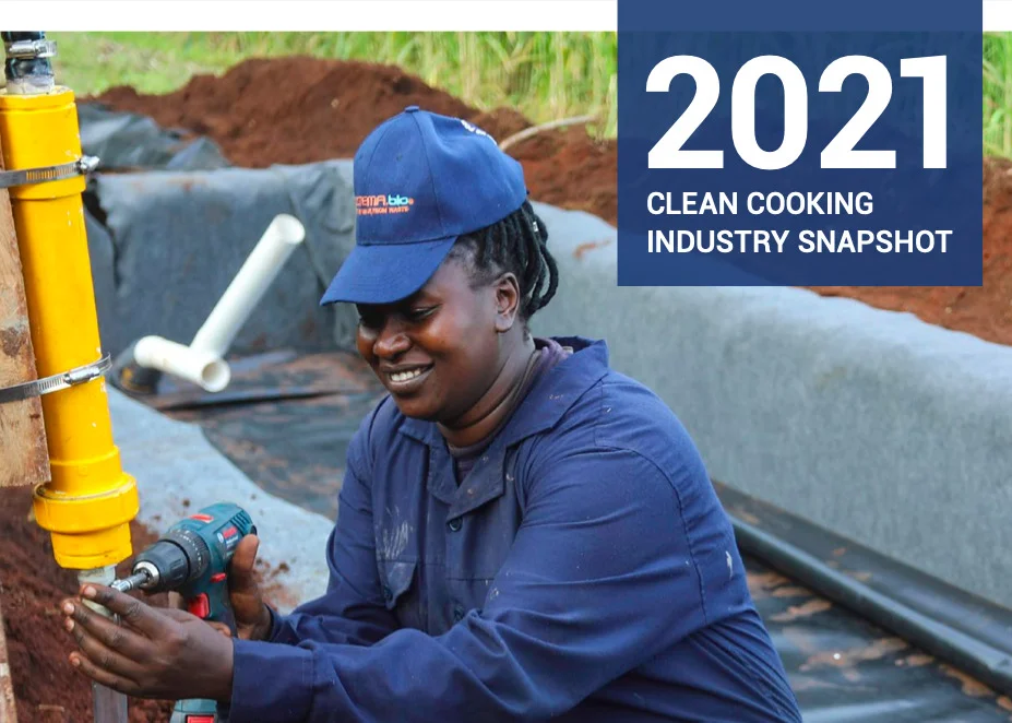 2021 Industry Snapshot Report