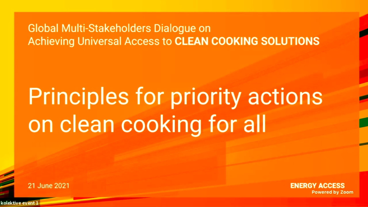 HLDE Ministerial Forum – Principles for priority actions on clean cooking for all