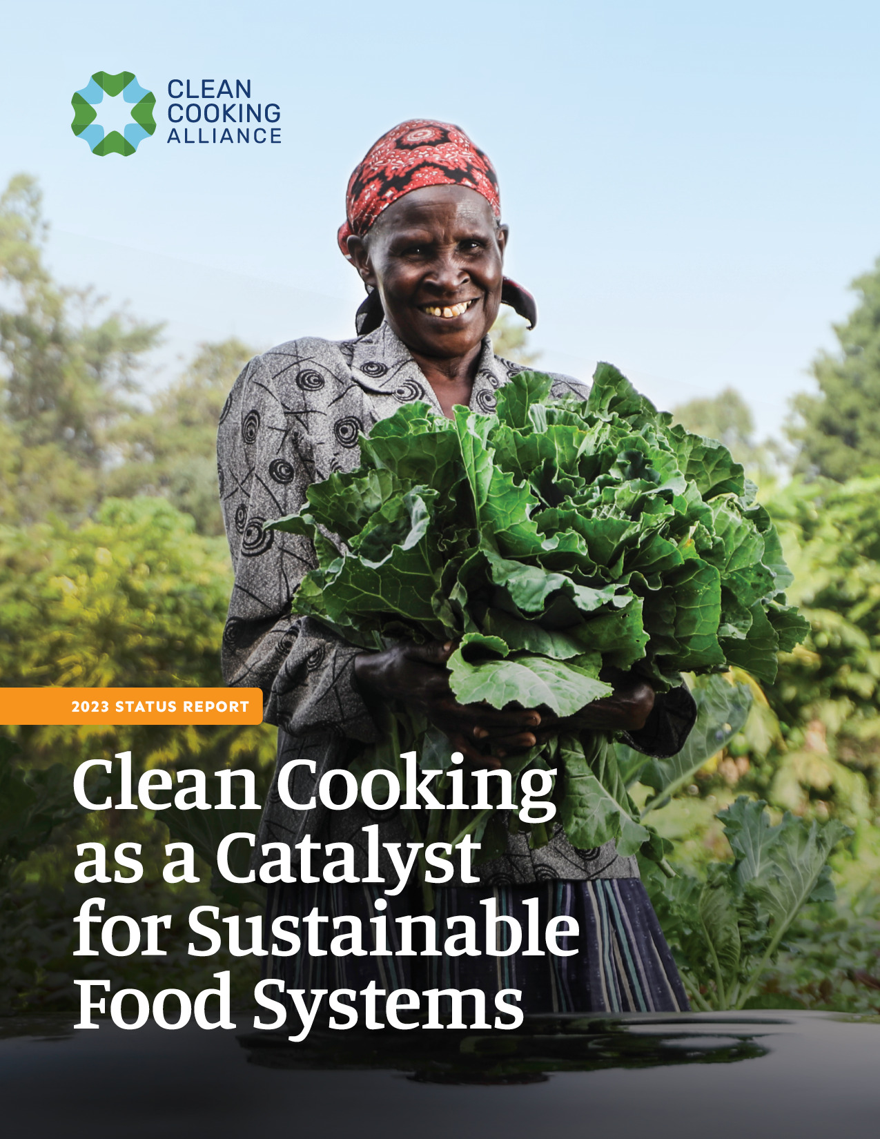 Clean Cooking as a Catalyst for Sustainable Food Systems Clean