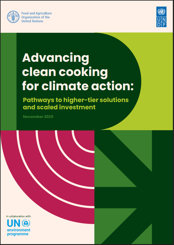 Advancing clean cooking for climate action: Pathways to higher-tier ...